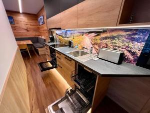 Кухня или мини-кухня в Apartment Špindlerův Mlýn 46 by Interhome
 +9 фотографий