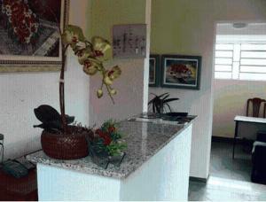Kjøkken eller kjøkkenkrok på Hotel Pousada Jaguariuna