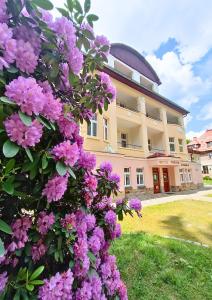 Taman di luar Willa Storczyk Polanica Zdrój