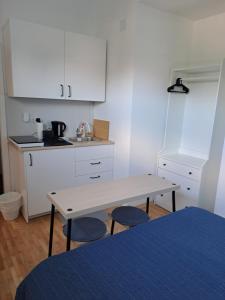 Η κουζίνα ή μικρή κουζίνα στο Studio apartman Dvori