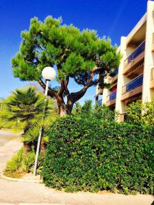 un pino y una luz de la calle frente a un edificio en Appartment Plein Soleil, en Golfe-Juan