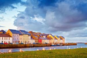 un grupo de patos en el agua frente a los edificios en LARGE Modern House, Sleeps 17 with Parking, en Galway