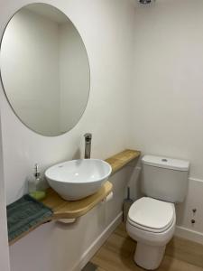 een badkamer met een wastafel, een toilet en een spiegel bij Loft 3 11 de Abril in Bahía Blanca
