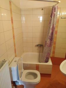 ein Badezimmer mit Toilette und Badewanne in der Unterkunft Arachova Cozy in Arachova + 1 Foto