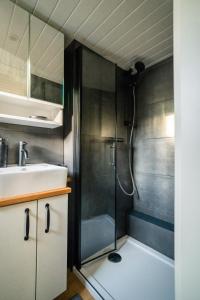 a bathroom with a shower and a sink at Sea Side, Tiny House 13 in Salzhemmendorf