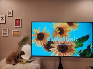 TV a/nebo společenská místnost v ubytování House SaDam