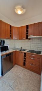 Kuchyň nebo kuchyňský kout v ubytování Nautico apartment with swimming pool