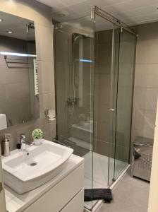 Et badeværelse på Luxury Apartment in Madrid