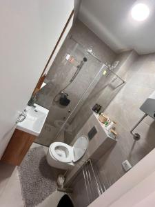 un bagno con doccia, WC e lavandino di Apartman Dan i Noć a Divčibare