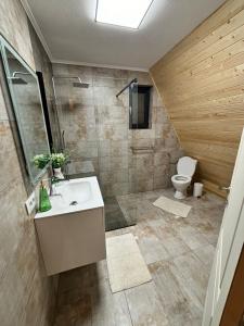 a bathroom with a sink and a toilet at Povestea din Munti in Arpaşu de Sus +50 photos