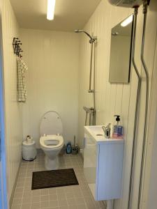 a bathroom with a toilet and a sink and a mirror at B&B KNARDAL SPA in Neset
