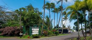 Zahrada ubytování Hanalei Colony Resort F3