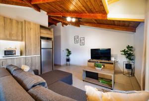 TV a/nebo společenská místnost v ubytování Ionian Serenity House