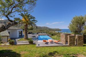 a house with a swimming pool and a palm tree at Les Terrasses de Fromentica in Saint-Florent