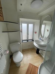a bathroom with a toilet and a sink and a mirror at Appartement Florette in Besse-et-Saint-Anastaise