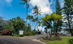 Sodas prie apgyvendinimo įstaigos Hanalei Colony Resort I-2