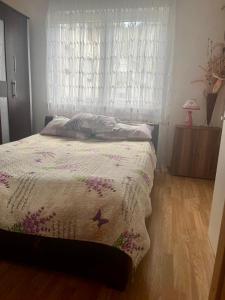 ein Schlafzimmer mit einem Bett und einem Fenster in der Unterkunft Apartment Panonija in Tuzla