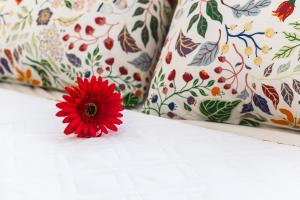 Fotografie z fotogalerie ubytování Gracija v destinaci Jagodina