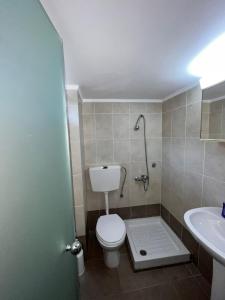 a bathroom with a toilet and a sink at Eirini Apts On the beach in Psari Forada +69 photos