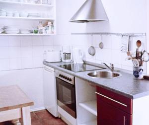Kuchyň nebo kuchyňský kout v ubytování Atelierhaus am Bodden FeWo B unten