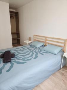 a large bed with blue pillows in a bedroom at Le Maillot IV in Castres