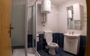 Koupelna v ubytování Apartmán Michal