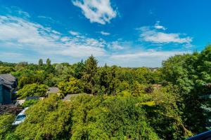 an aerial view of trees and a house at Zentrale Wohlfühlwohnung - Ideal für Ihren Urlaub oder die Geschäftsreise in Magdeburg