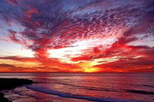 Gallery image of Pipeline 2 in San Diego
