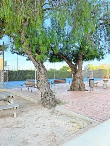 two trees in a park with two benches at Coqueto con PISCINA, nuevo a 50m del mar, Parking Gratis in El Campello +60 photos