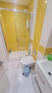 a bathroom with a shower and a toilet and a sink at PPL Studio Apartments in Sheffield +4 photos