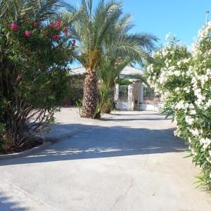 a driveway with palm trees and a building with a gate at Habitalento in El Campello