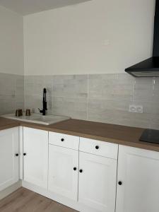 a kitchen with white cabinets and a sink at Appartement Champollion 2 in Figeac