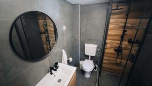 a bathroom with a sink and a mirror and a toilet at Forest Fox in Žabljak +50 photos