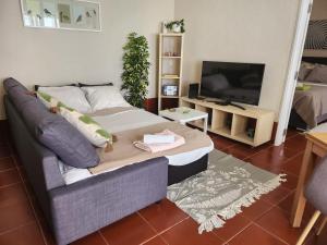 a living room with a couch and a tv at Casa de Ferias Arrifes in Cascais