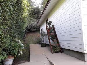 een trap naar een huis met potplanten bij Pousada Florada na Serra - Apto 5 in Campos do Jordão