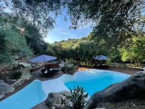 a swimming pool in a yard with trees at Chambre d'hôtes A Vadina Porticcio in Porticcio