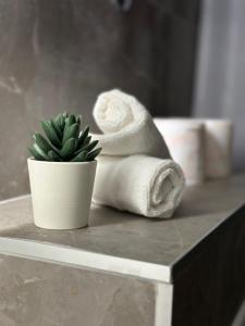 a towel and a potted plant on a counter at Villa Grande in Neum
