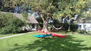 a hammock in a yard next to a tree at Ferienhof Nonnevitzer Strand, Typ B in Dranske