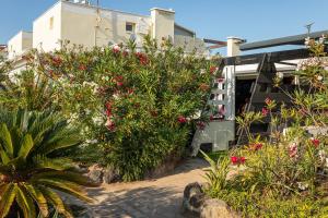 a garden with flowers and plants in front of a building at Villa Close Port Nature in Cap d'Agde