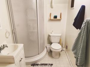 a bathroom with a shower and a toilet and a sink at Blackhawks Nest in Livingston +27 photos