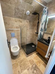 een kleine badkamer met een toilet en een wastafel bij Le Clos des Cadots - Suites équipées in Chaintré