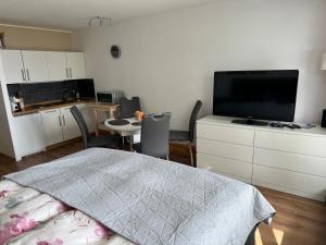 una camera da letto con un letto e una TV a schermo piatto di Ferienwohnung Emilia - einzigartige Lage, Pools, Sauna a Sankt Englmar
