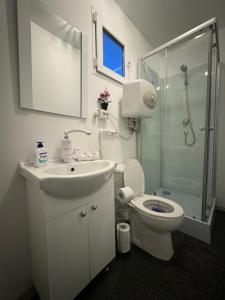 a bathroom with a toilet and a sink and a shower at La Moșie in Săldăbagiu de Munte +126 photos