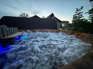 Πισίνα στο ή κοντά στο La Moșie