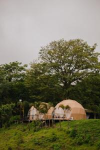 Fotografie z fotogalerie ubytování Pura Vista Glamping v destinaci El Castillo de La Fortuna