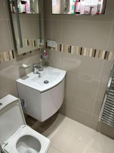 a bathroom with a white toilet and a sink at One bed Flat in Perivale