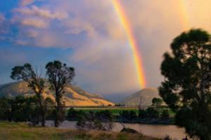 Gallery image of River Run in Emigrant +59 photos