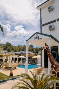 Πισίνα στο ή κοντά στο Luva Butik Otel