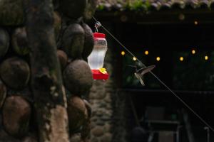 Nápoje v ubytování Pura Vista Glamping + 37 fotografií