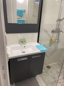 a bathroom with a white sink and a shower at Cozy maisonette in Versailles 15 min from Paris in Versailles